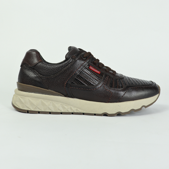Sneakers Carlo Lizard / Café 3079