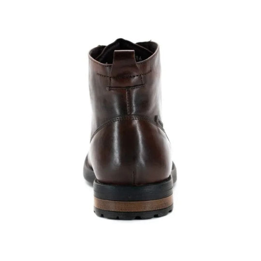 Levis Caballero L221311 Capital Café