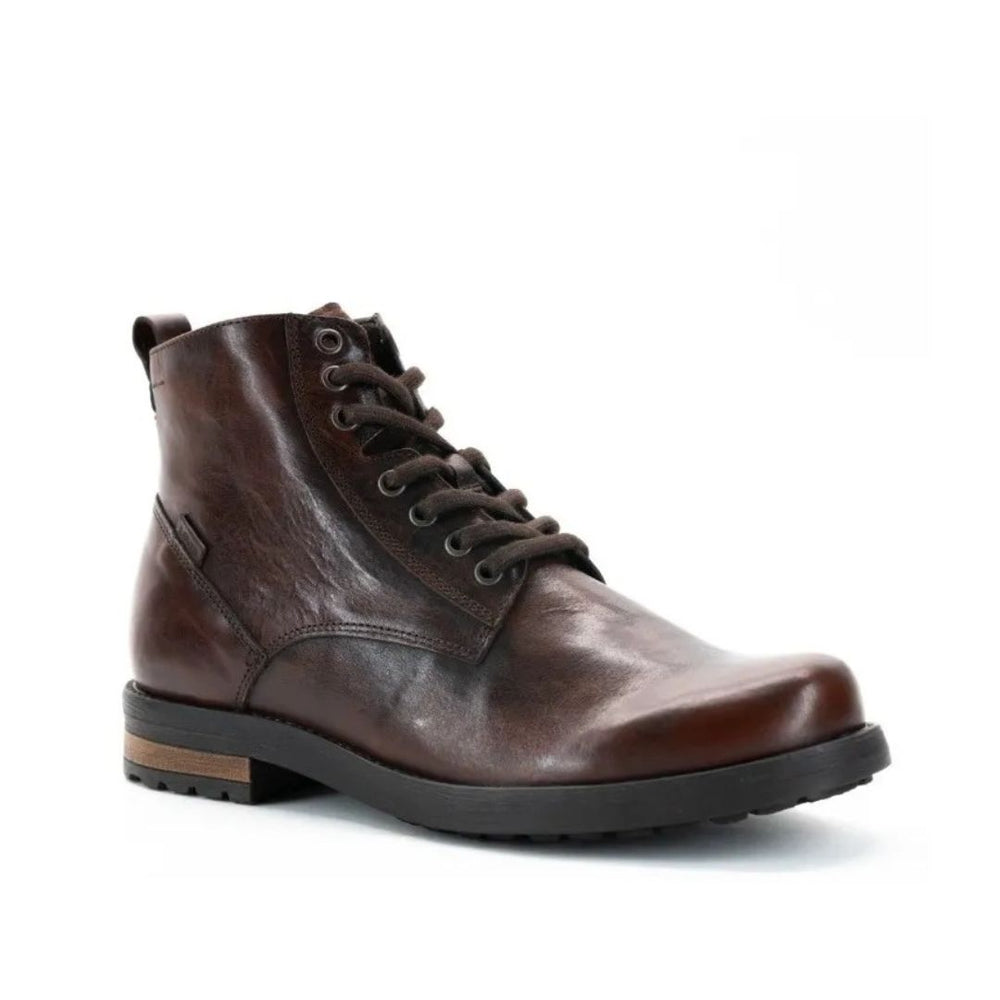 Levis Caballero L221311 Capital Café