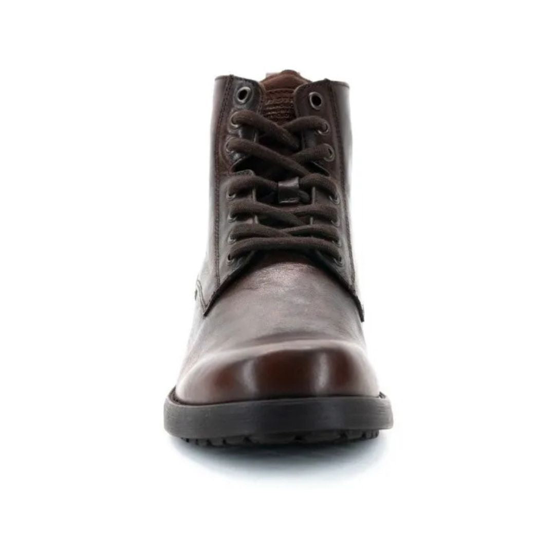 Levis Caballero L221311 Capital Café
