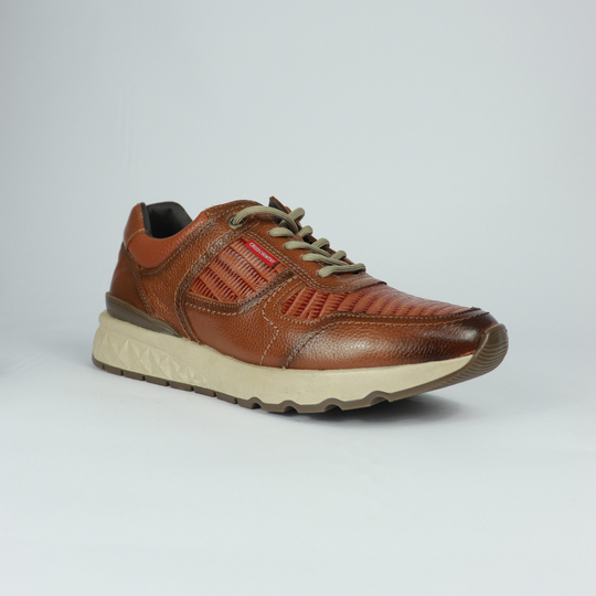 Sneakers Carlo Lizard / Honey 3079