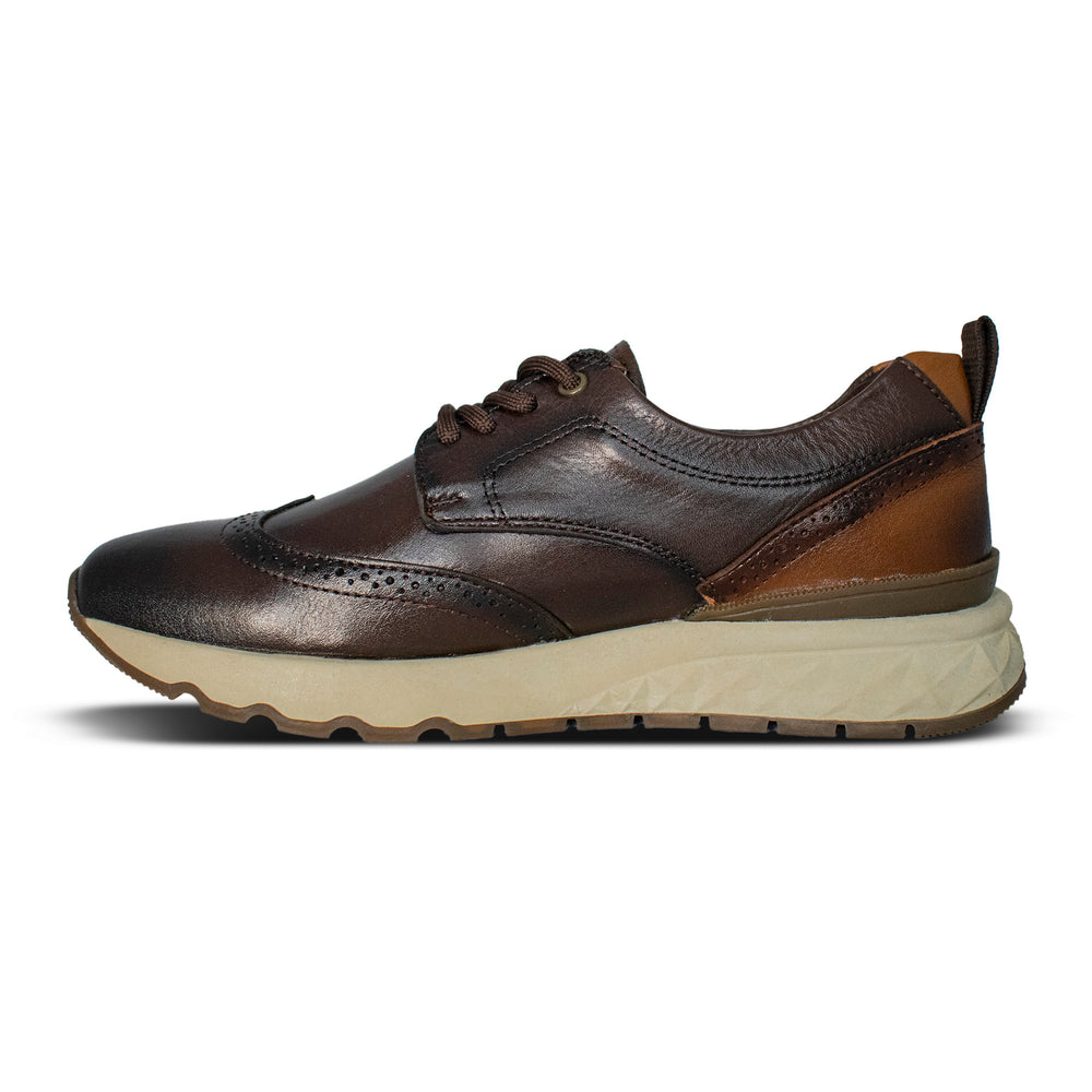 Sneakers Carlo Brogue Café 2987
